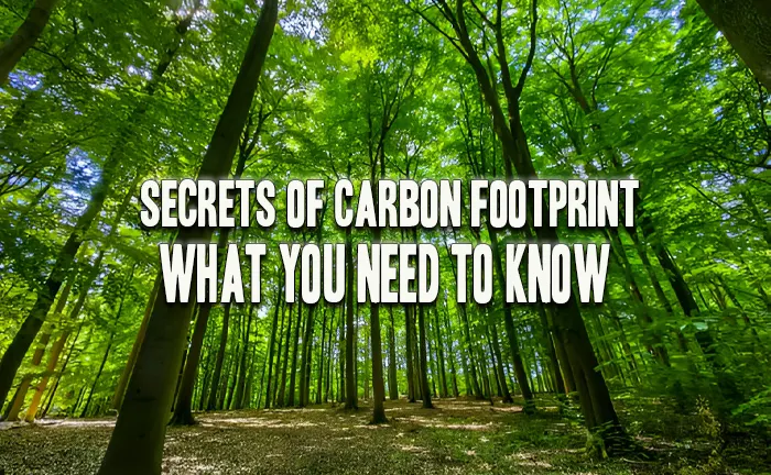 Secrets of Carbon Footprint: What You Need to Know
