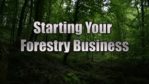 Starting your forestry business