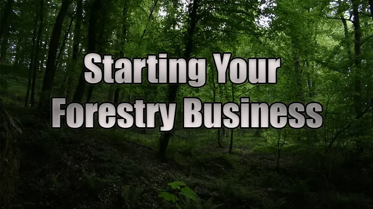 Starting Your Forestry Business