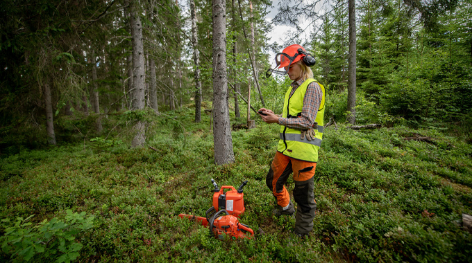 A forestry machine with a hydraulic arm and claw is actively loading freshly cut logs onto a stack in a forest clearing. The green machine operates efficiently amidst a backdrop of tall trees and a dirt road, showcasing modern timber harvesting methods. 