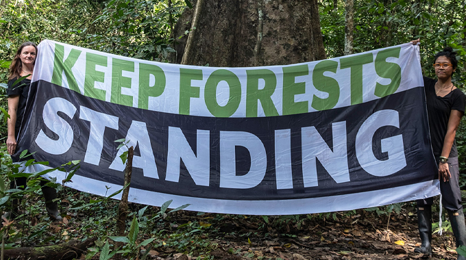 Two people in a forest hold up a large banner that reads 'KEEP FORESTS STANDING.' They are standing on the forest floor, surrounded by dense trees and vegetation.