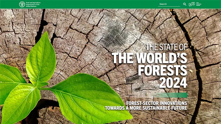 State of the World's Forests 2024: Forest-sector innovations towards a more sustainable future