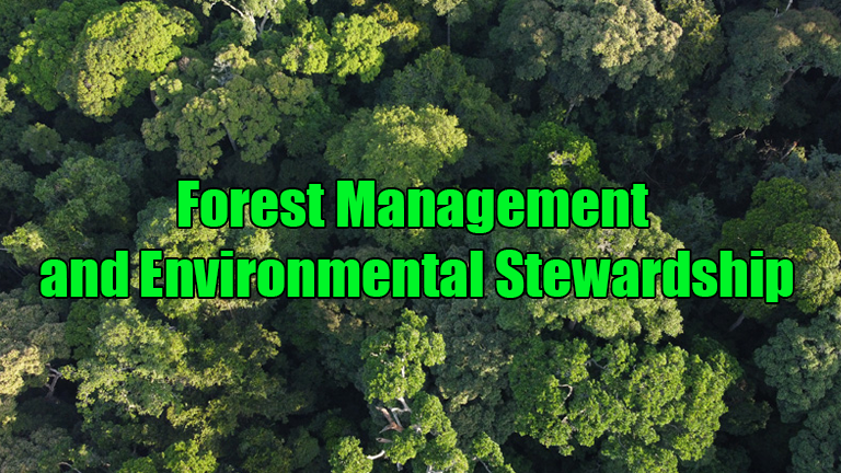 Forest Management and Environmental Stewardship