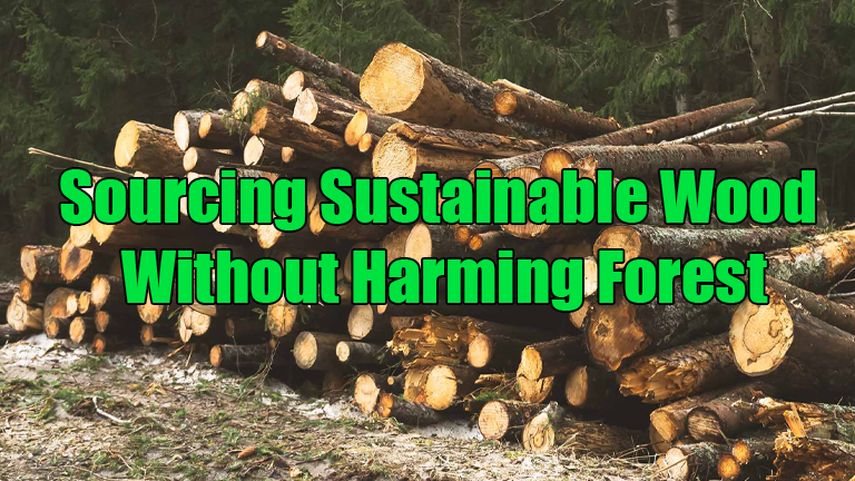Sourcing Sustainable Wood Without Harming Forest