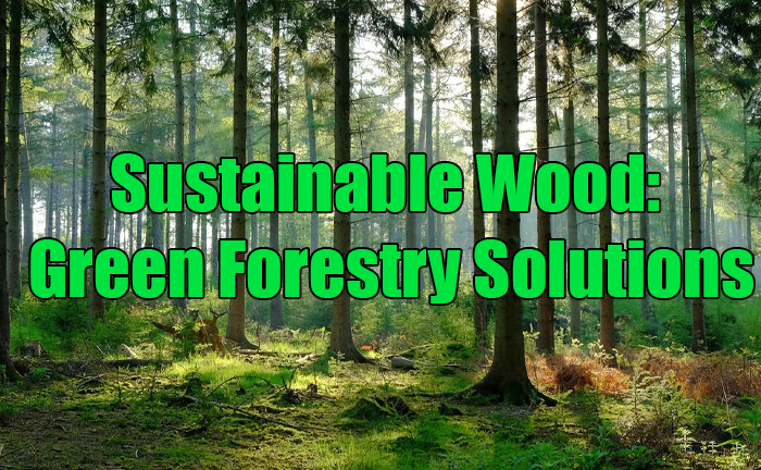 Sustainable Wood: Green Forestry Solutions
