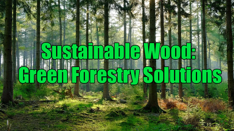 Sustainable Wood: Green Forestry Solutions