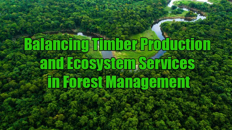 Balancing Timber Production and Ecosystem Services in Forest Management