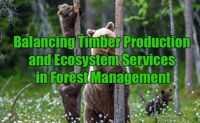 Forest Management Techniques for Wildlife Habitat Preservation