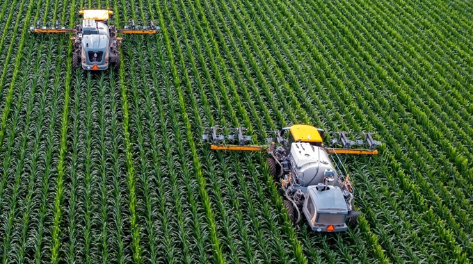 "Aerial view of two advanced agricultural machines working in parallel rows of a lush green cornfield, showcasing modern farming techniques and precision agriculture."