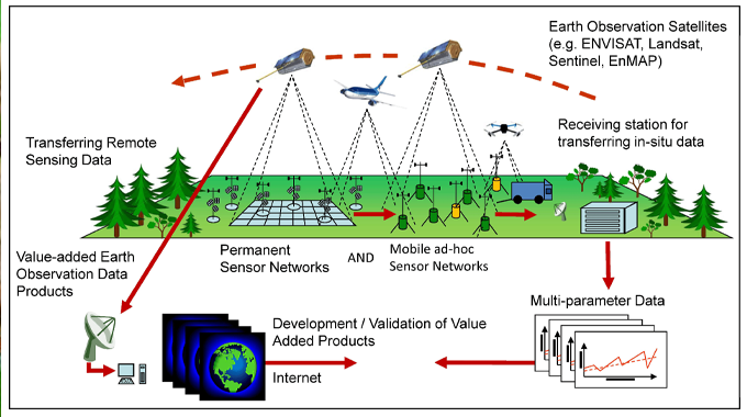 A detailed diagram illustrating the integration of Earth observation satellites and sensor networks in forest monitoring. 