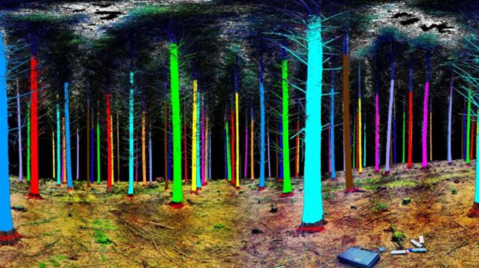 A forest scene with trees digitally highlighted in various bright colors, including green, blue, red, and pink, creating a vivid and surreal effect. 