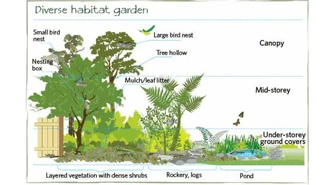 Diagram of a diverse habitat garden illustrating different layers: canopy with bird nests, mid-storey with tree hollows and leaf litter, and under-storey with ground covers, dense shrubs, rockery, logs, and a pond, demonstrating how various vegetation supports wildlife.