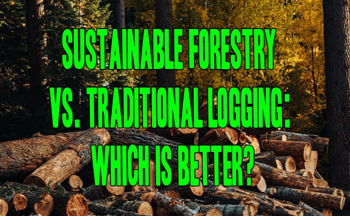 Sustainable Forestry vs. Traditional Logging: Which is Better?