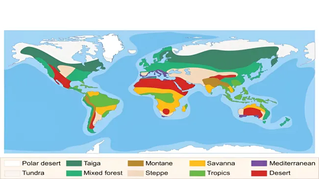 Accurate Mapping and Delineation