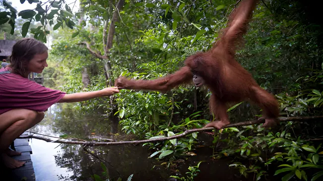 Human-Wildlife Interaction