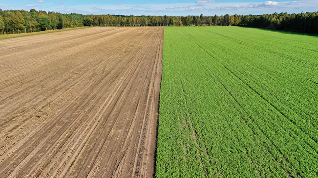 Alternating different crops in the same field across seasons to improve soil health, reduce pest and disease buildup, and increase biodiversity