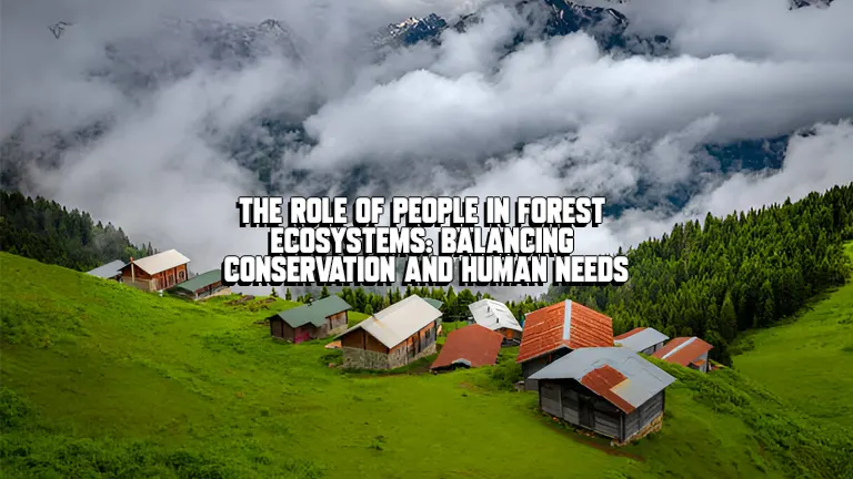 Forest Ecosystems: Human Role &amp; Conservation Balance