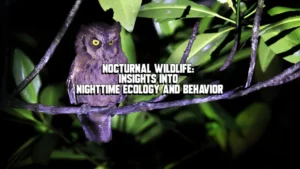 octurnal Wildlife: Insights into Nighttime Ecology and Behavior