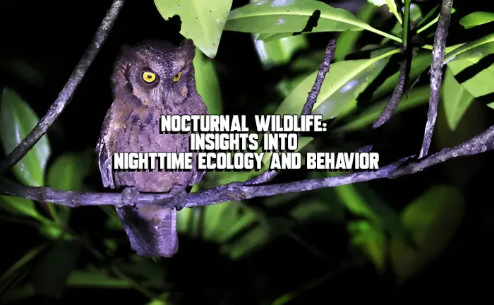 Nocturnal Wildlife: Insights into Nighttime Ecology and Behavior