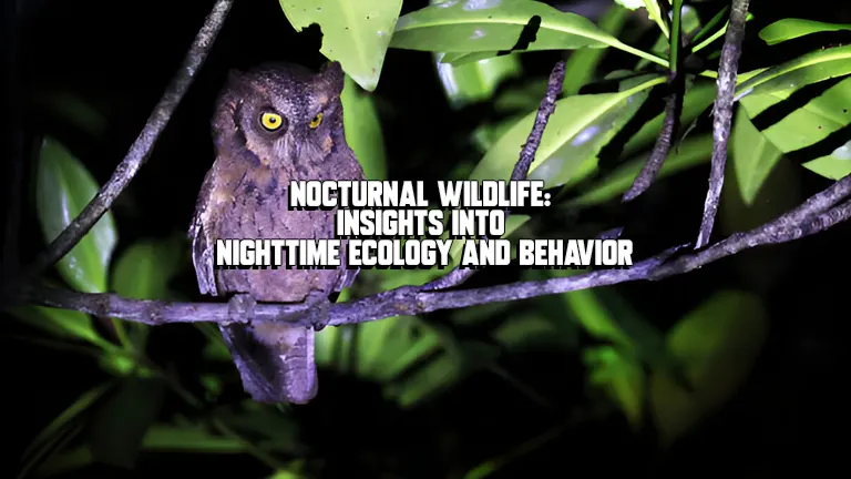Nocturnal Wildlife: Insights into Nighttime Ecology and Behavior