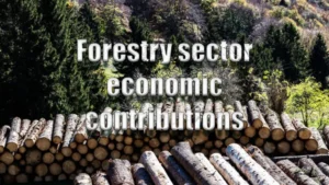 Forestry sector economic contributions