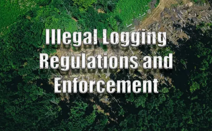 Illegal Logging Regulations and Enforcement