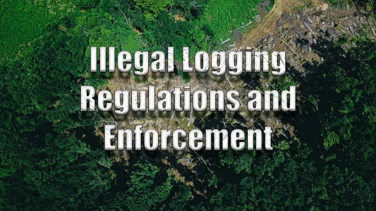 Illegal Logging Regulations and Enforcement