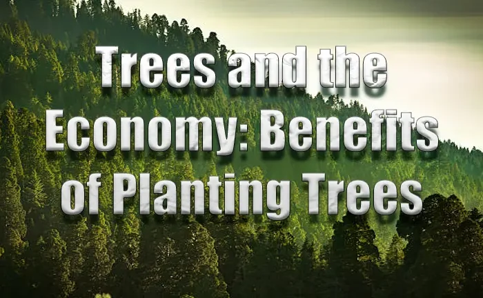 Trees and the Economy: Benefits of Planting Trees