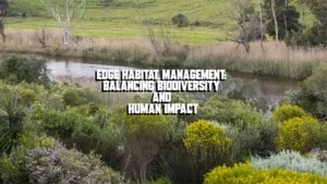 Edge Habitat Management: Balancing Biodiversity and Human Impact