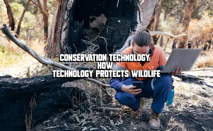 Conservation Technology: How Technology Protects Wildlife