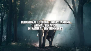 Behavioral Ecology: Understanding Animal Behavior in Natural Environments