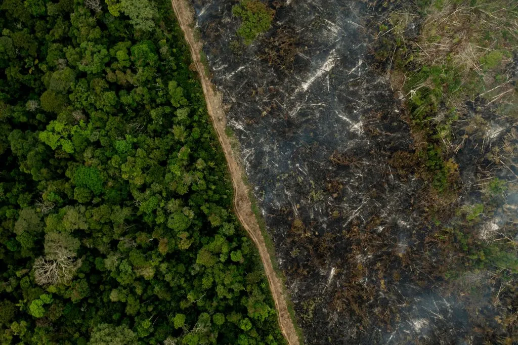 Aerial view of a burnt area of the Amazon rainforest trees near Porto Velho, Rondonia state, Brazil , climate change