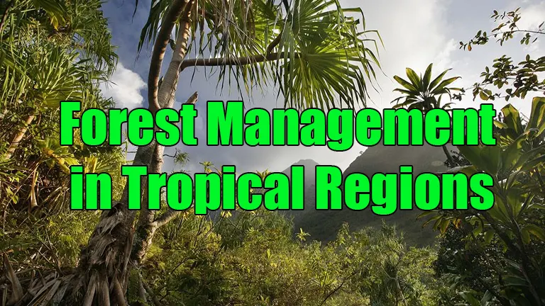 Forest Management in Tropical Regions