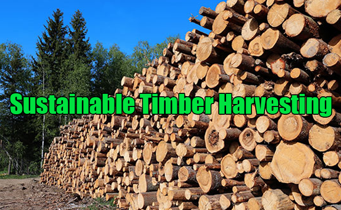 Sustainable Timber Harvesting