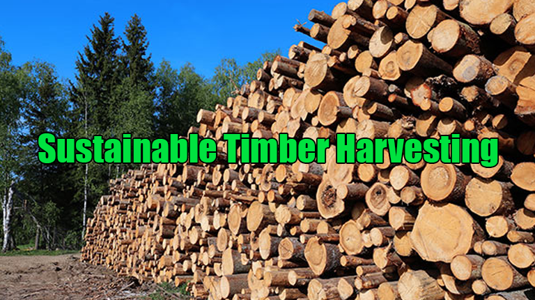 Sustainable Timber Harvesting