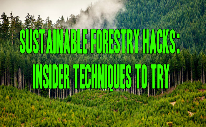 Sustainable Forestry Hacks: Insider Techniques to Try