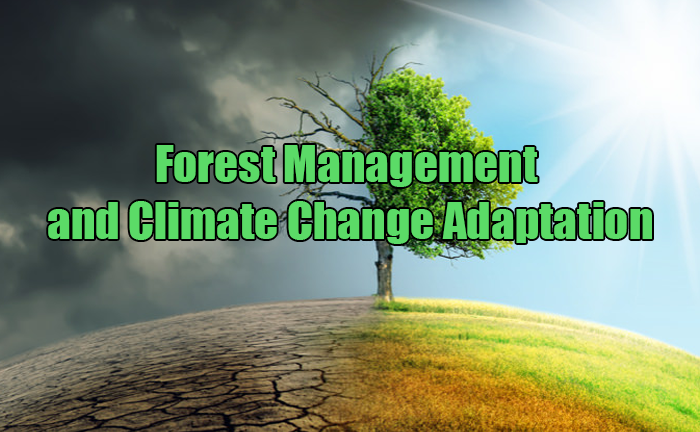 Forest Management and Climate Change Adaptation