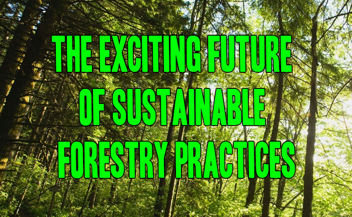 Future of Sustainable Forestry Practices