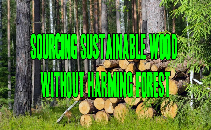 Sourcing Sustainable Wood Without Harming Forest