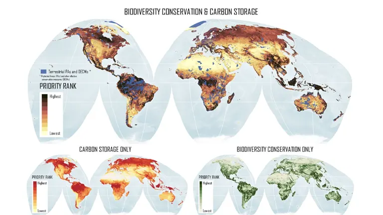 Environmental Benefits of Forestry Investments