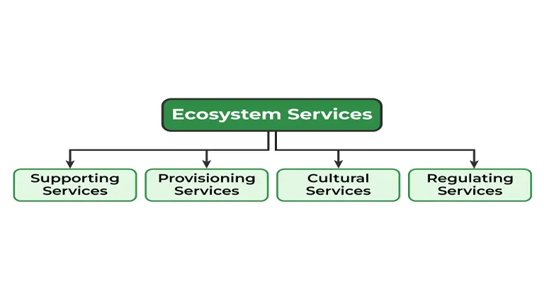 Ecosystem Services