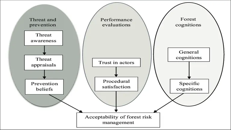 Risk Management in Forestry