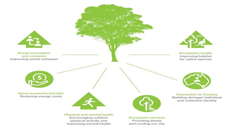 Investment Strategies in Forestry