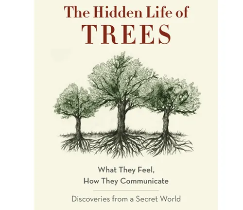 Cover of "The Hidden Life of Trees" by Peter Wohlleben.