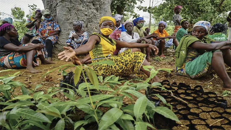 Social Benefits of Sustainable Forestry