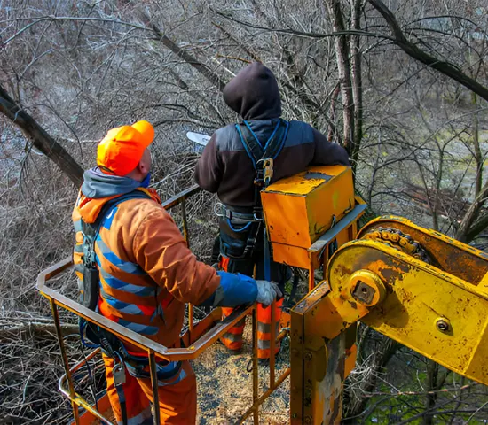 Two workers in a lift trimming trees.