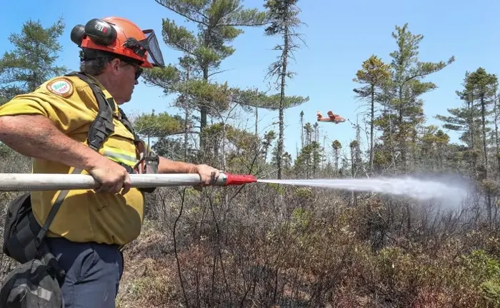 Firefighter using a hose to spray water in a forest to prevent the spread of a wildfire.