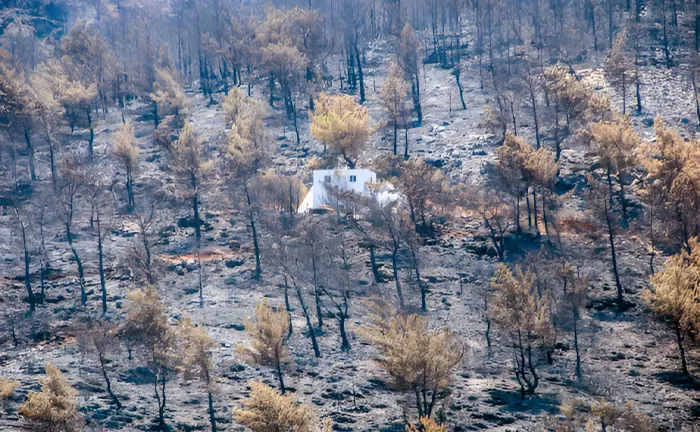 Lone house surrounded by scorched trees after a forest fire.