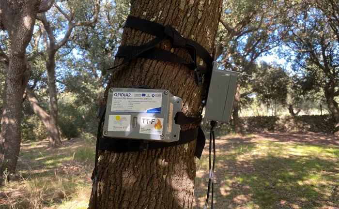 Fire detection system mounted on a tree in a forest to monitor and prevent wildfires.