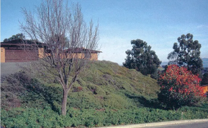 House on a hill with fire-resistant landscaping and diverse vegetation to prevent forest fires.